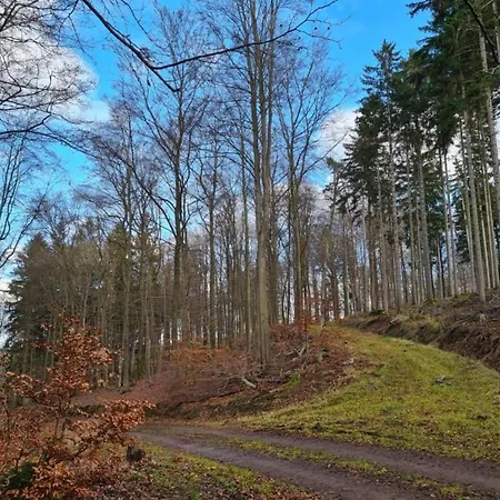 Stilvoll Uebernachten In Sonneberg, Cleaning Included