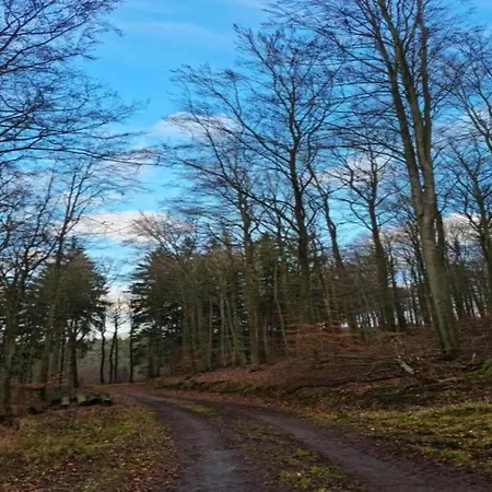 Stilvoll Uebernachten In Sonneberg, Cleaning Included